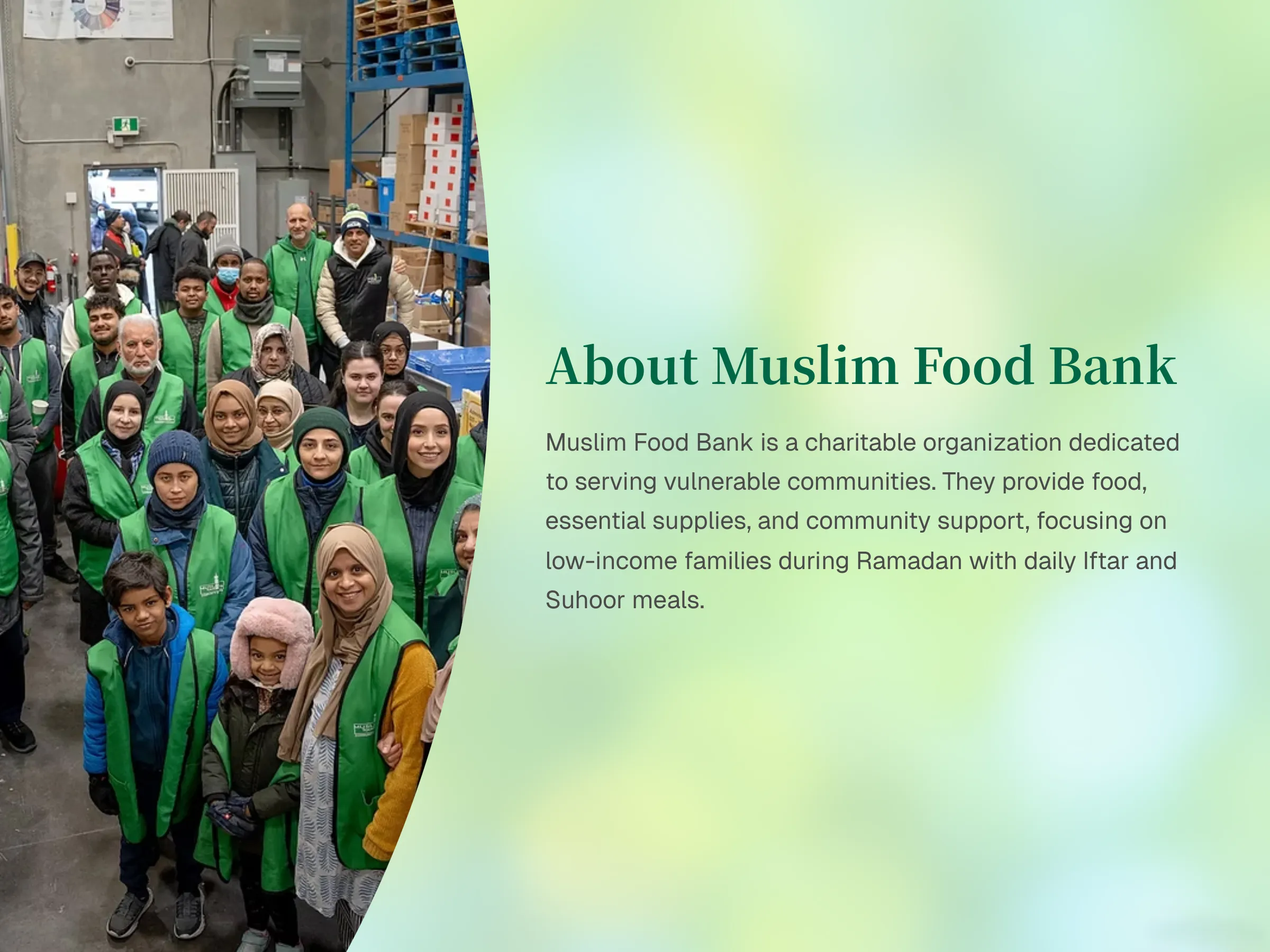 MFB case study 5